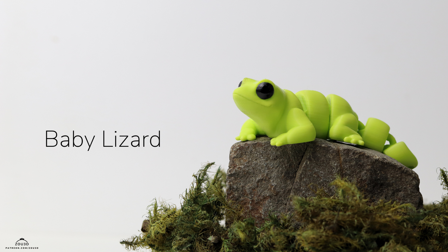 Lizard